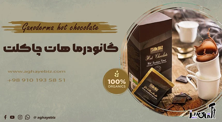 What is Ganoderma hot chocolate good for?