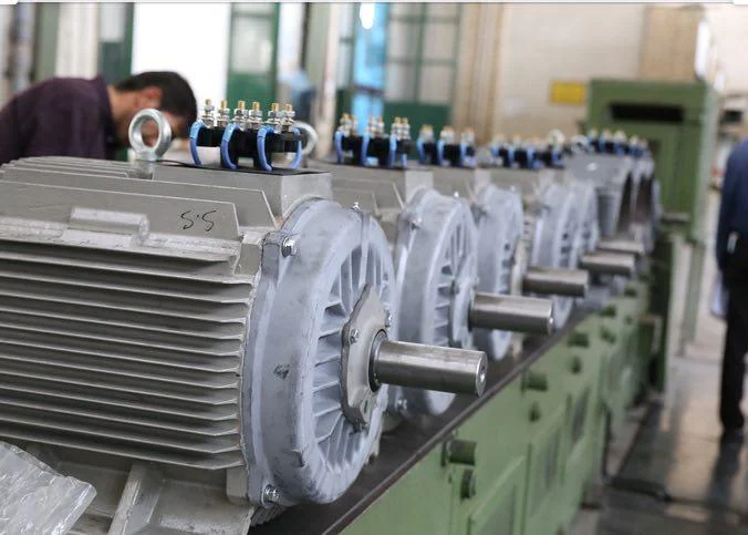 Cooling tower electric motor
