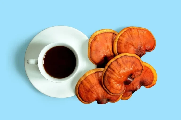 قهوه گانودرما چگونه باعث کاهش وزن می شود؟