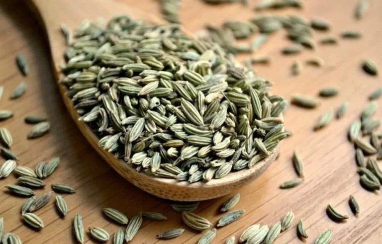 مضرات استفاده از دمنوش رازیانه
