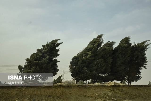 وزش باد شدید در جنوب و غرب تهران/ کاهش دما تا دوشنبه