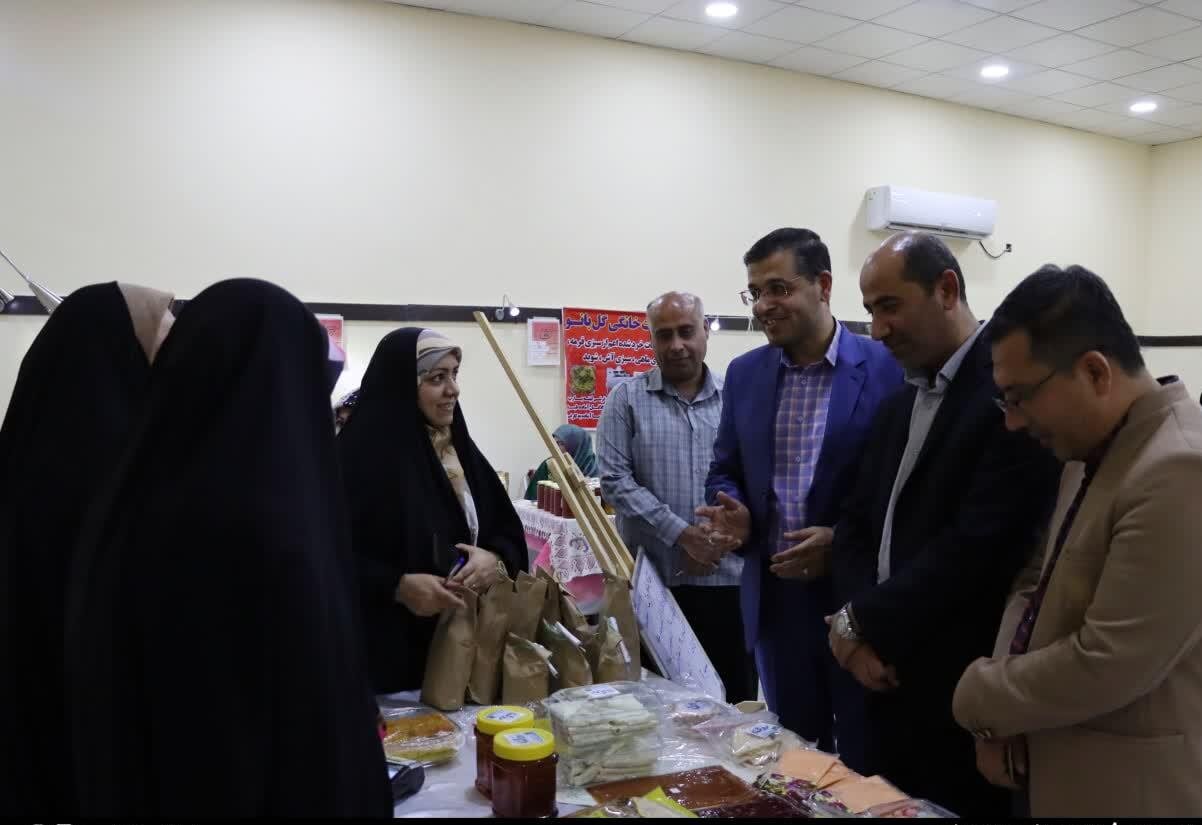 بانوان سرپرست خانوار در دشتی حمایت می شوند - خبرگزاری مهر | اخبار ایران و جهان